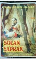 Solan Yaprak Erotik Film izle