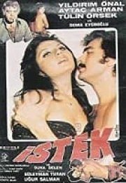 İstek Erotik Film izle